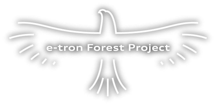 e-tron Forest Project
