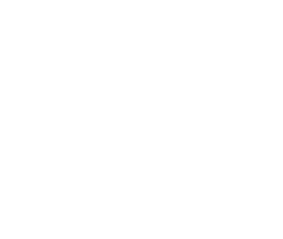 Audi Q6-etron