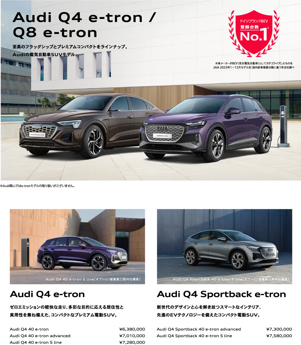 Audi Q4 e-tron / Q8 e-tron