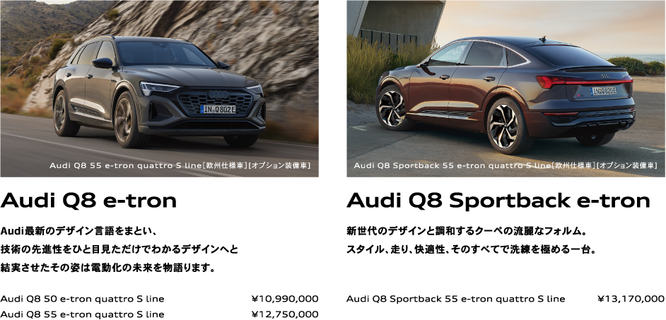 Audi Q4 e-tron / Q8 e-tron