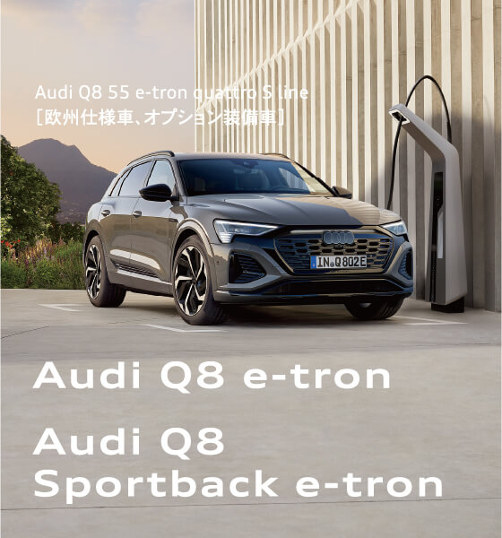Audi Q8 e-tron Audi Q8 Sportback e-tron