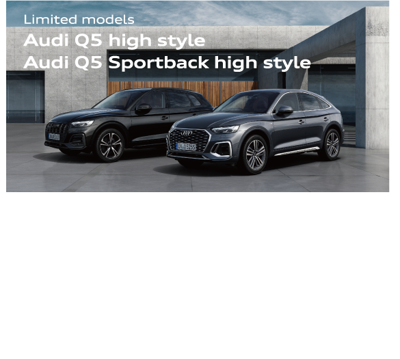 Audi Q5 / Audi Q5 Sportback high style