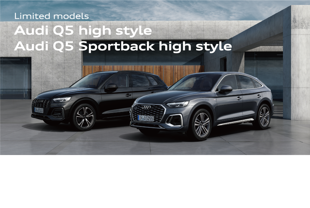 Audi Q5 / Audi Q5 Sportback high style