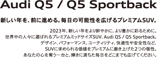 Audi Q5 / Q5 Sportback