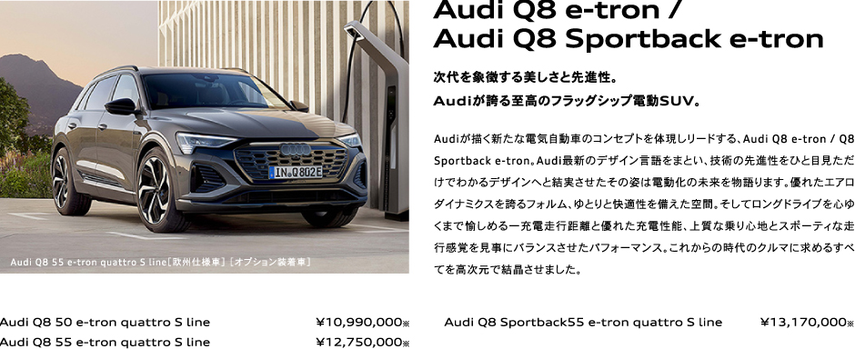 Audi Q8 e-tron