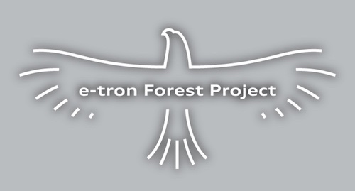 audi e-tron 環境保護プロジェクト