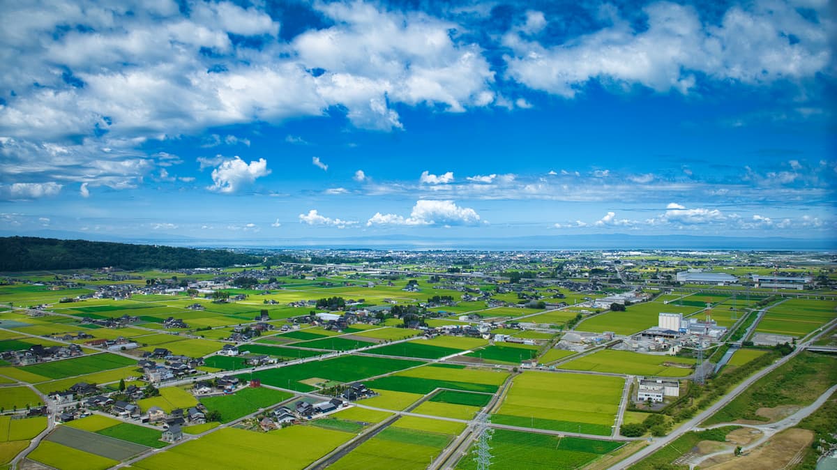日本の水田と住宅地が広がる田園風景