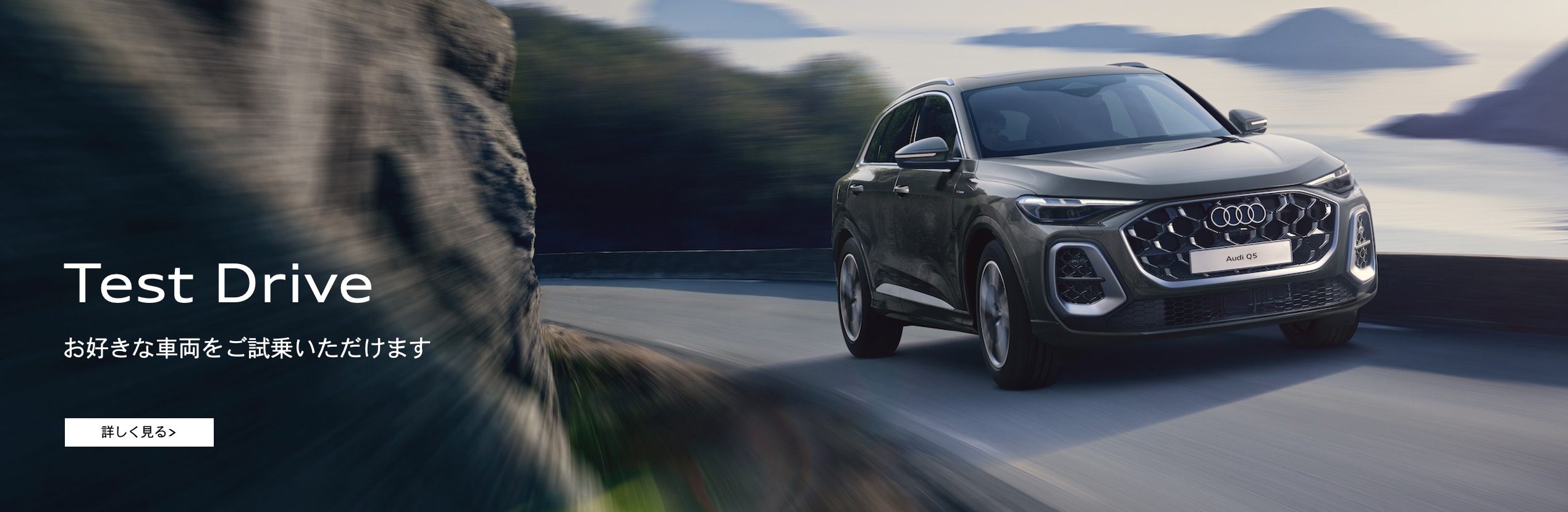 テストドライブ